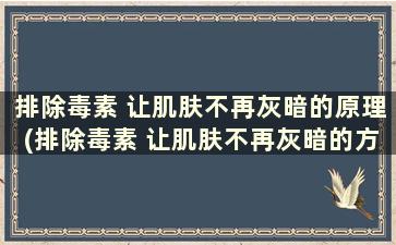 排除毒素 让肌肤不再灰暗的原理(排除毒素 让肌肤不再灰暗的方法)